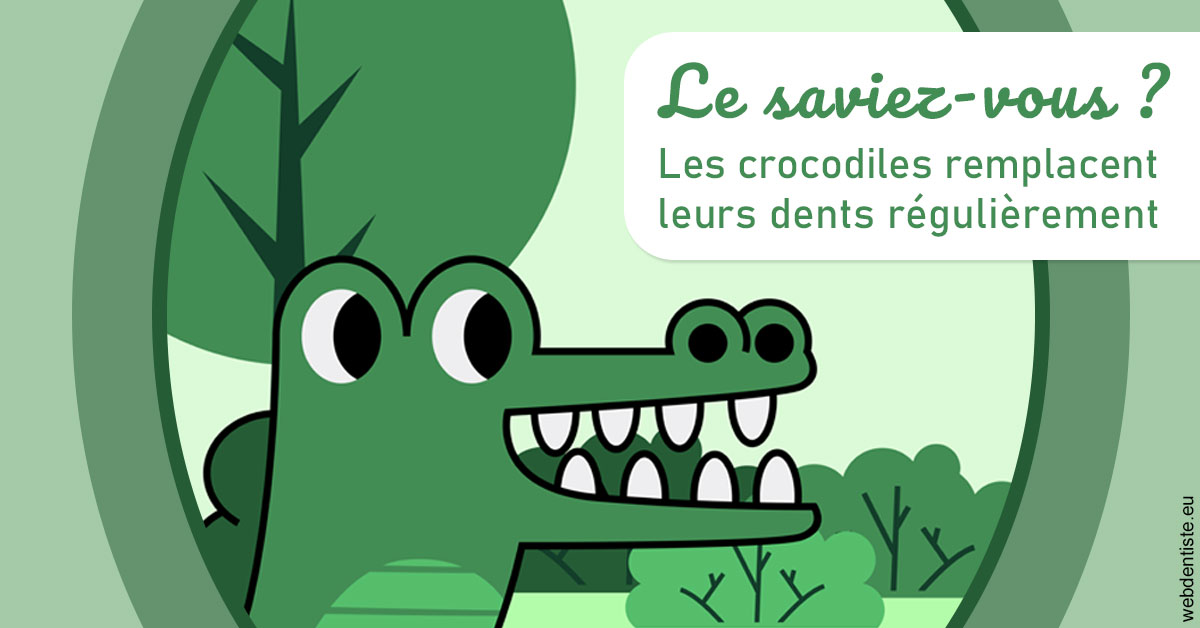 https://dr-brincat-thierry.chirurgiens-dentistes.fr/Crocodiles 2