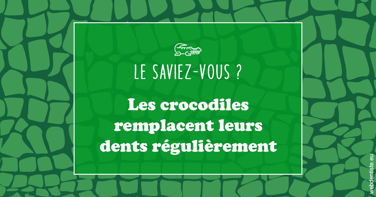 https://dr-brincat-thierry.chirurgiens-dentistes.fr/Crocodiles 1
